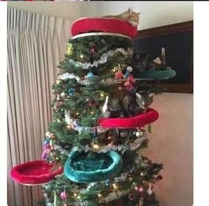 Meet your Posher, Kristina